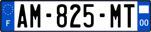 AM-825-MT