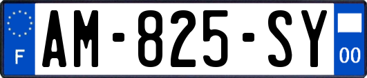AM-825-SY