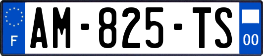 AM-825-TS