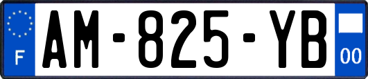 AM-825-YB