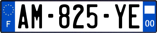 AM-825-YE