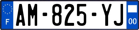 AM-825-YJ