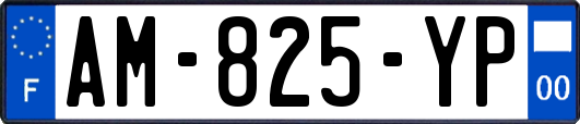 AM-825-YP