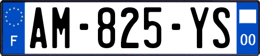 AM-825-YS