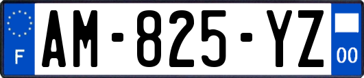 AM-825-YZ