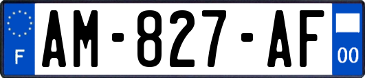 AM-827-AF