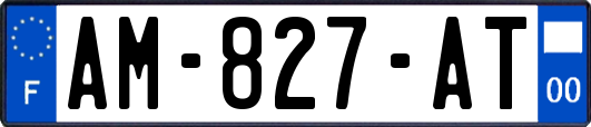 AM-827-AT