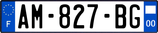 AM-827-BG