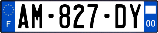 AM-827-DY