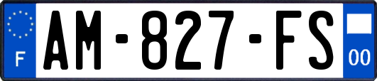 AM-827-FS