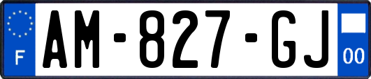 AM-827-GJ