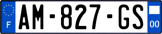AM-827-GS
