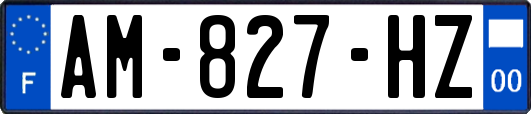 AM-827-HZ