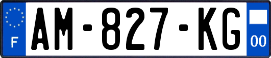 AM-827-KG