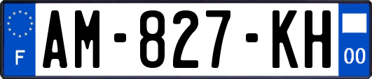 AM-827-KH