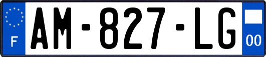 AM-827-LG