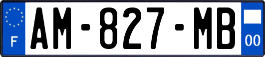 AM-827-MB