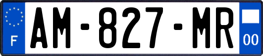 AM-827-MR