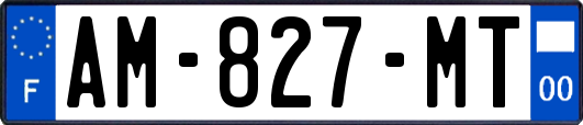 AM-827-MT