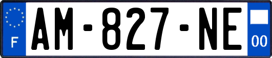 AM-827-NE