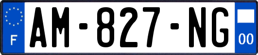 AM-827-NG