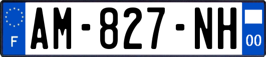 AM-827-NH