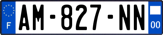 AM-827-NN