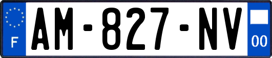 AM-827-NV