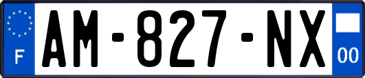 AM-827-NX
