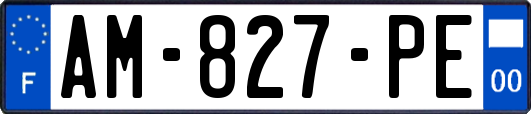 AM-827-PE