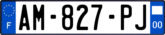 AM-827-PJ