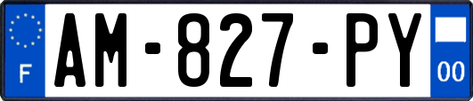 AM-827-PY