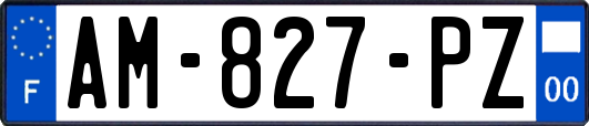 AM-827-PZ