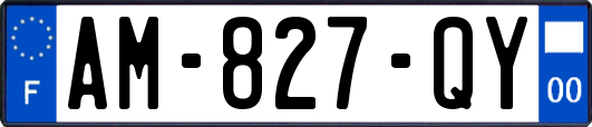 AM-827-QY