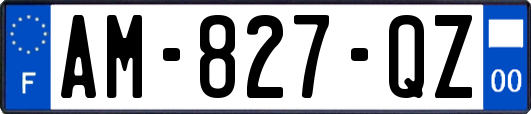 AM-827-QZ