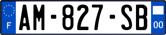 AM-827-SB