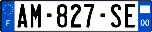 AM-827-SE