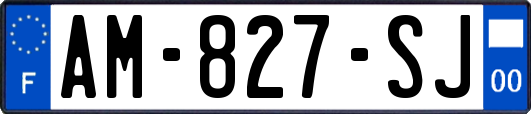 AM-827-SJ