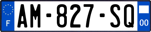AM-827-SQ