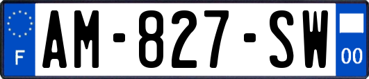 AM-827-SW