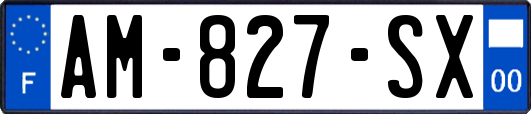 AM-827-SX