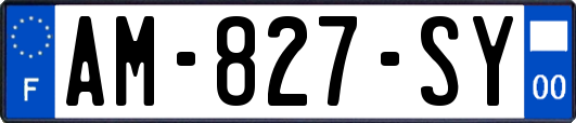 AM-827-SY