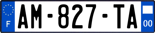 AM-827-TA
