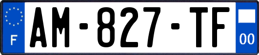 AM-827-TF