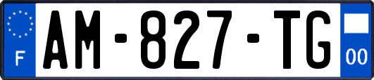 AM-827-TG