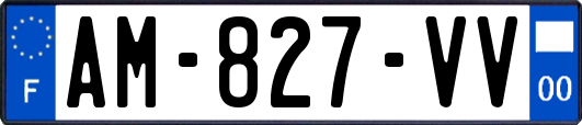 AM-827-VV