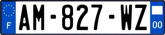 AM-827-WZ