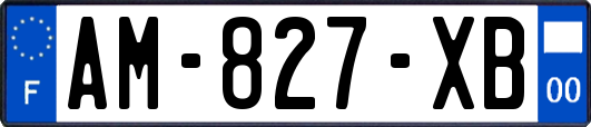 AM-827-XB