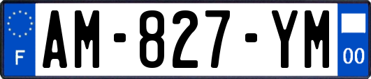 AM-827-YM