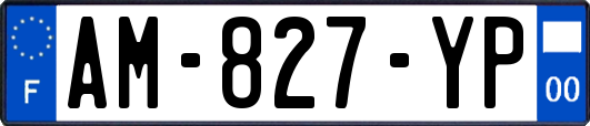 AM-827-YP
